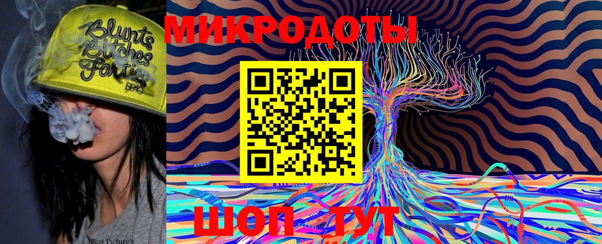 Мичуринск  Псилоцибиновые грибы Psilocybe  Вход с VPN 