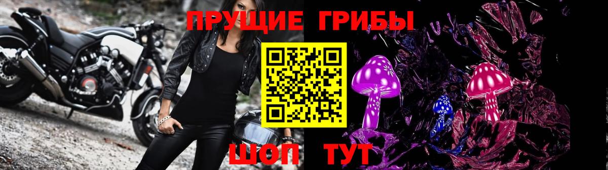 Галлюциногенные грибы Cubensis Мичуринск
