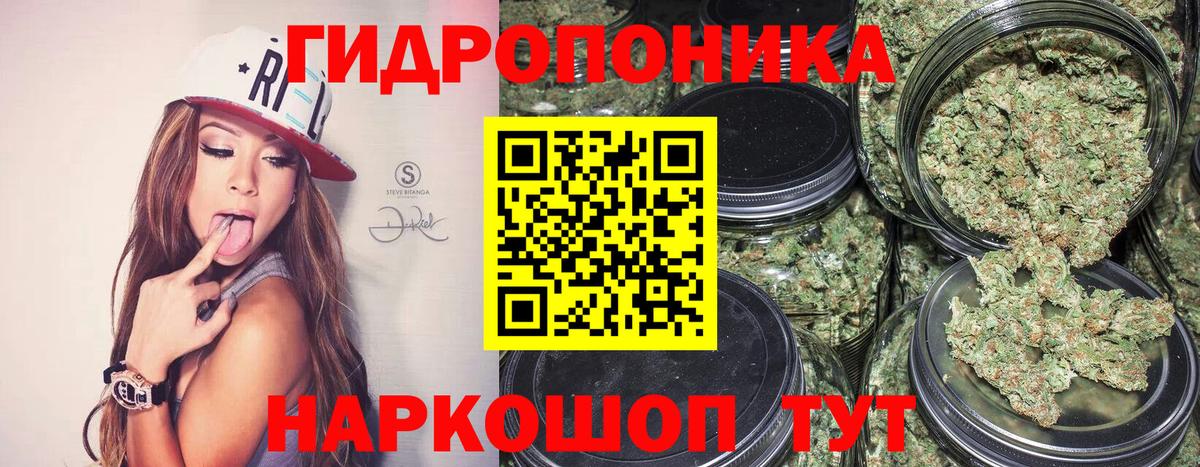 Конопля марихуана  Бошки Шишки план  Мичуринск  МАРИХУАНА OG Kush  Шишки марихуана сатива  Вход с VPN 